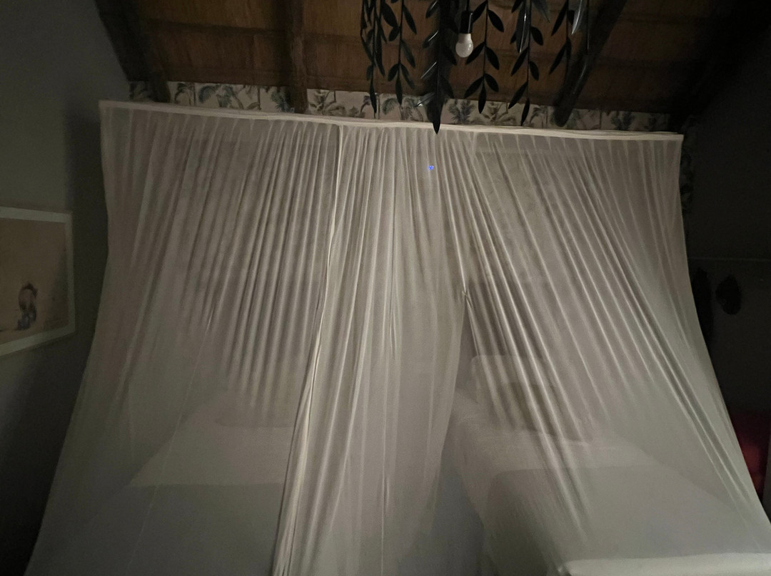 Explorers Village, Shearwater主图