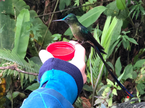 Adore Ecuador Travel-基多必去景点
