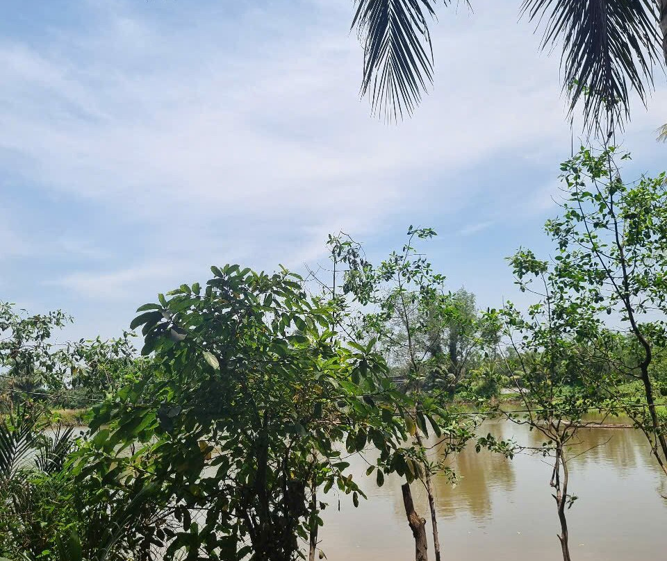 Nam Bo Tours-Ben Tre必去景点