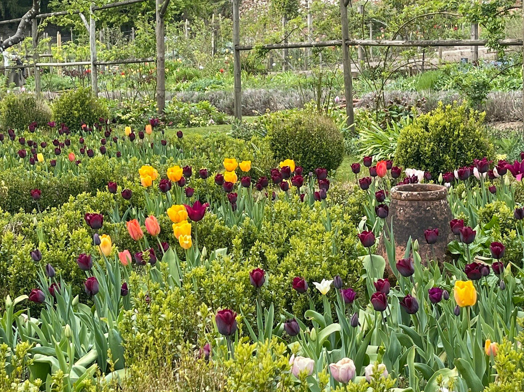 Cerney House Gardens景点图片
