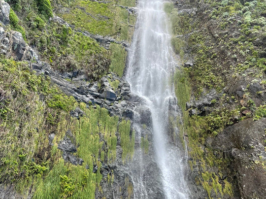 Madeira Taxi Tours with Marcelo-马德拉群岛必去景点