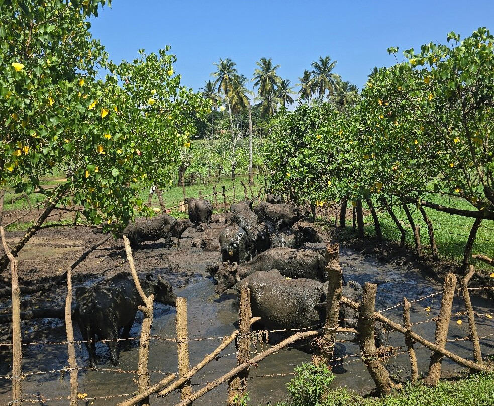 Nadin Travels & Tours-唐卡拉必去景点