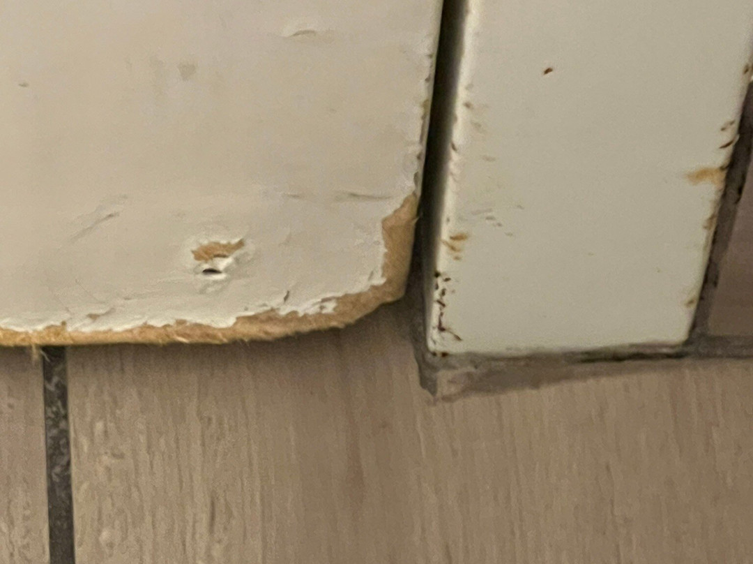 Hampton Inn Wichita Falls-sikes Senter Mall主图