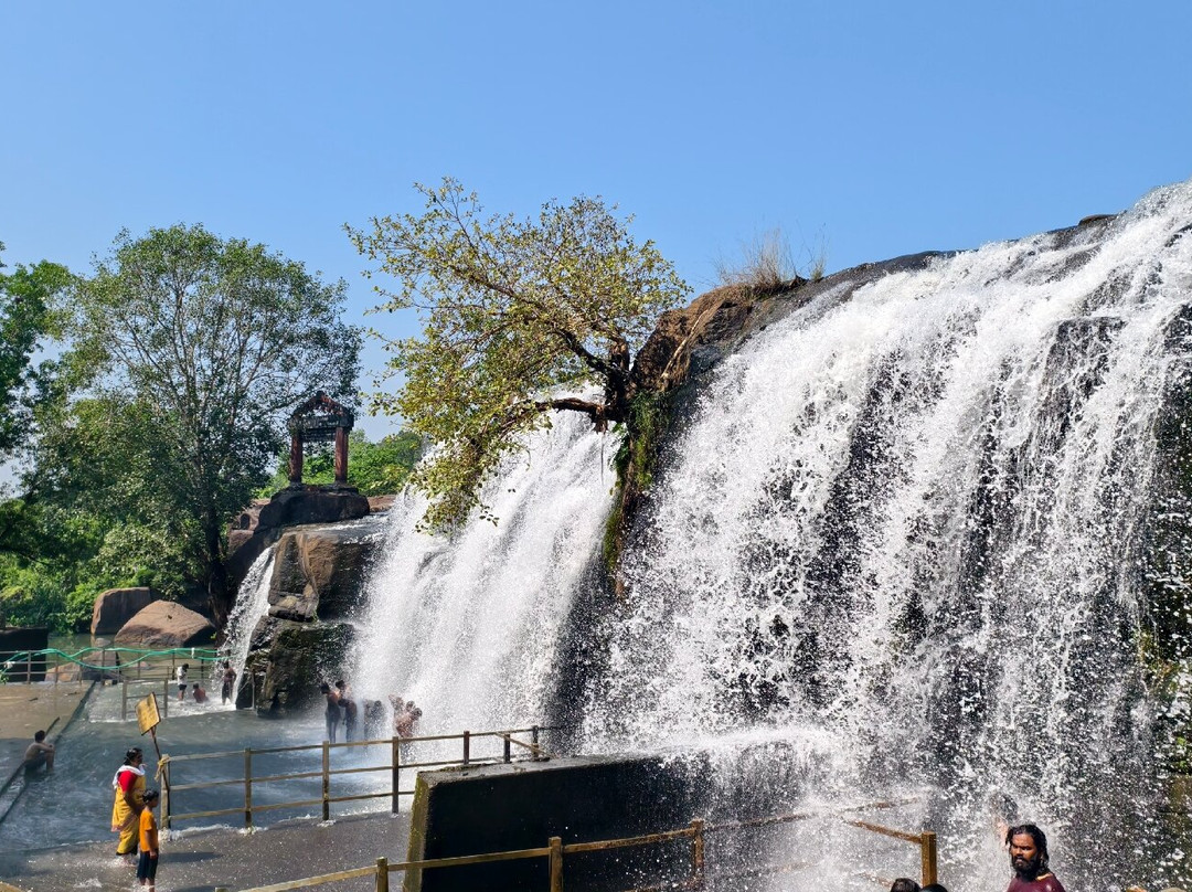 Tirparappu Falls-Nagercoil必去景点