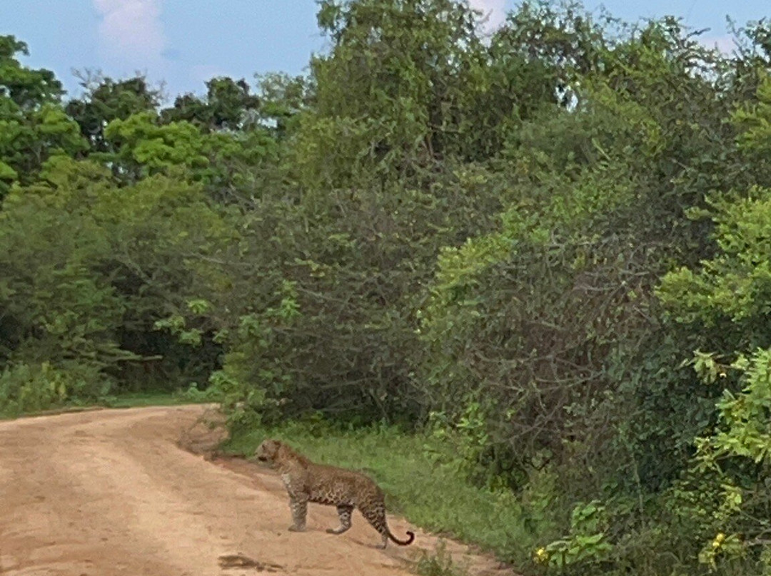 Travel with Danu-班托塔必去景点