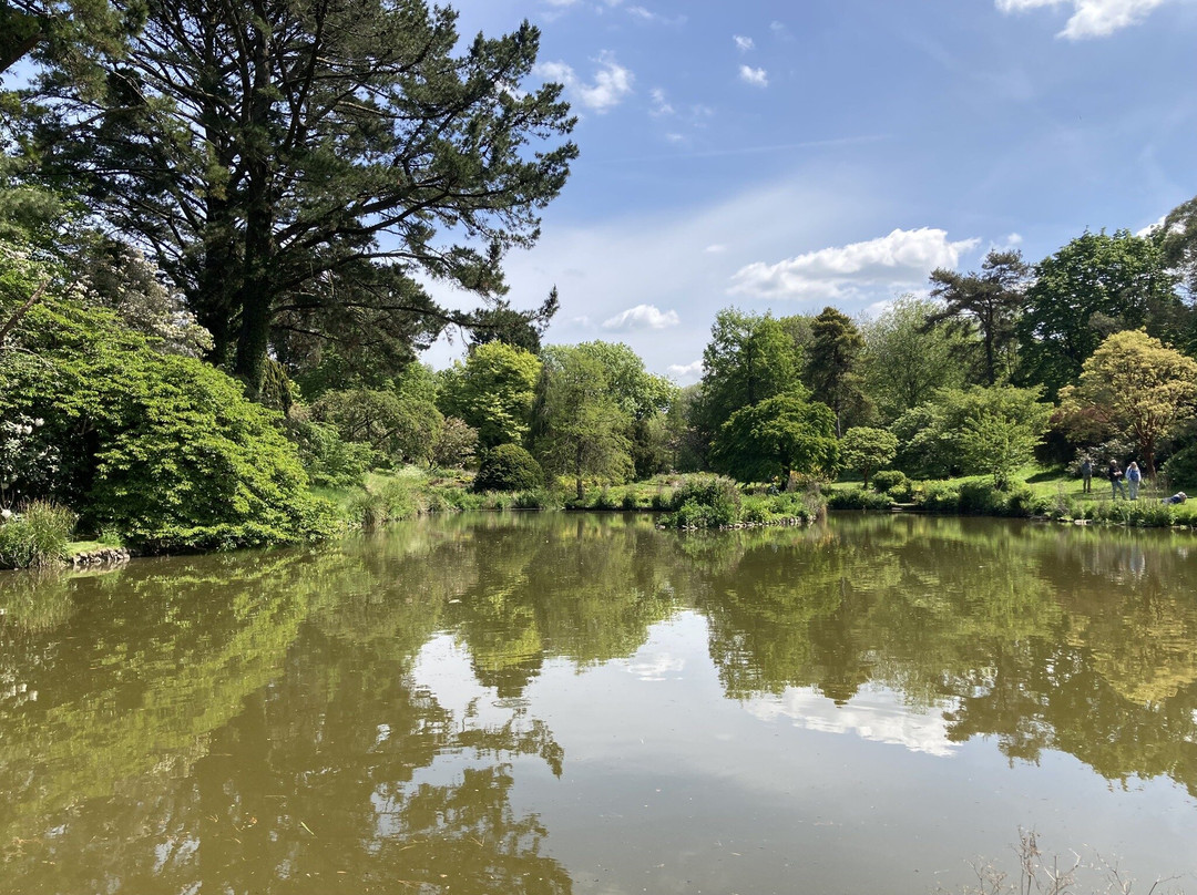 Marwood Hill Gardens景点图片