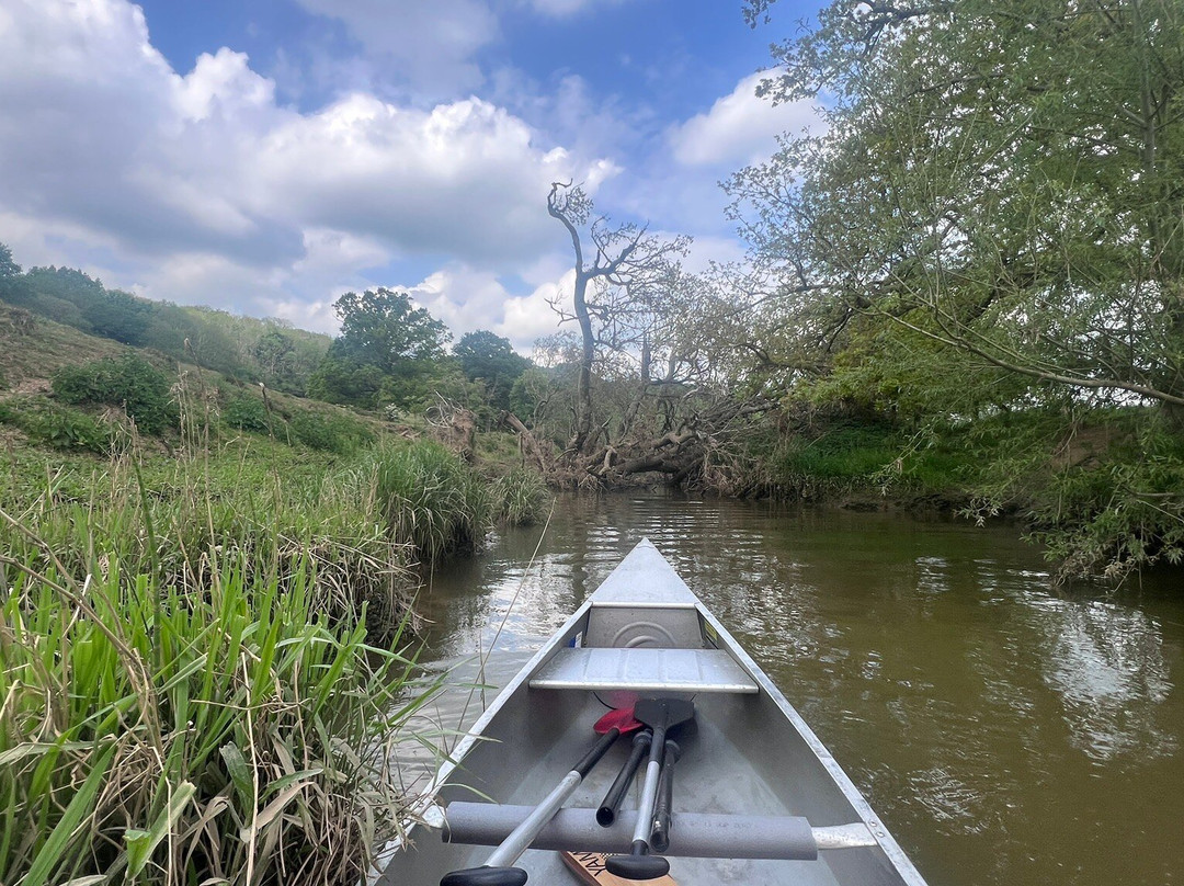 Pulborough Paddles景点图片