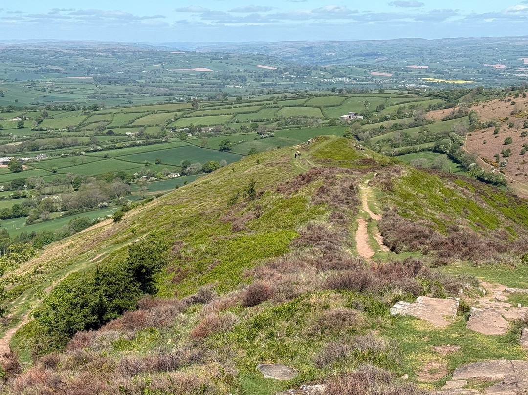 The Star Bunkhouse主图