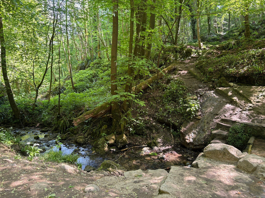 Hackfall Wood-里彭必去景点