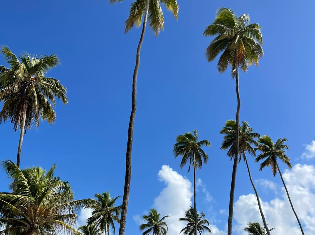 Junior Turismo-伊波茹卡必去景点
