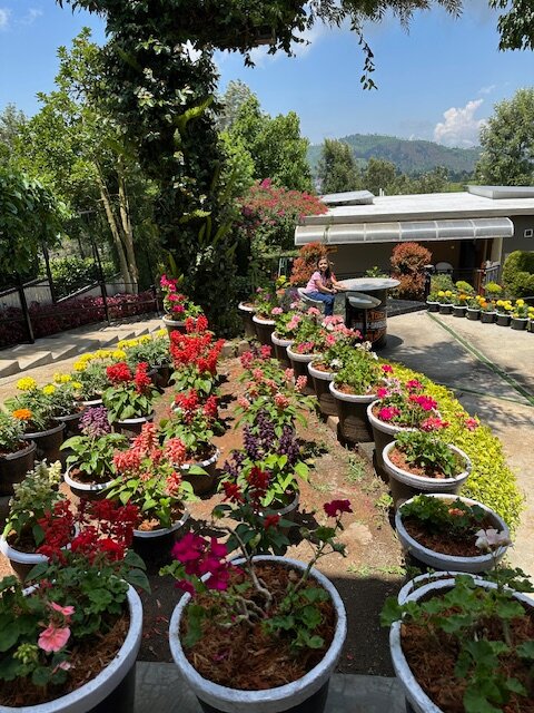Sunvalley Homestay-浴室