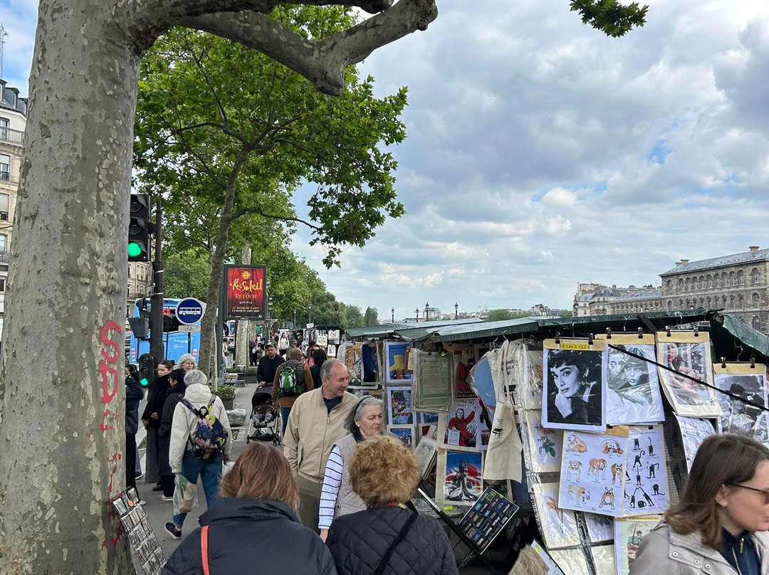 Les bouquinistes de paris-巴黎必去景点