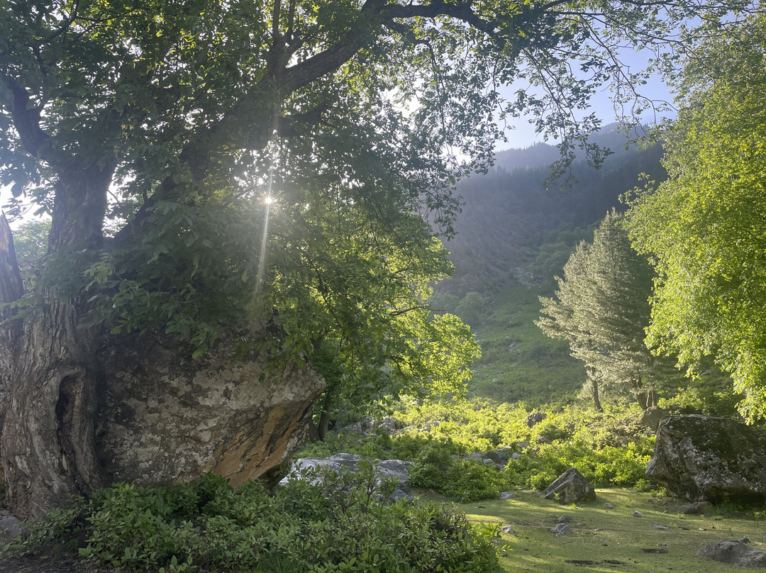 Hotel The Villa Himalaya主图