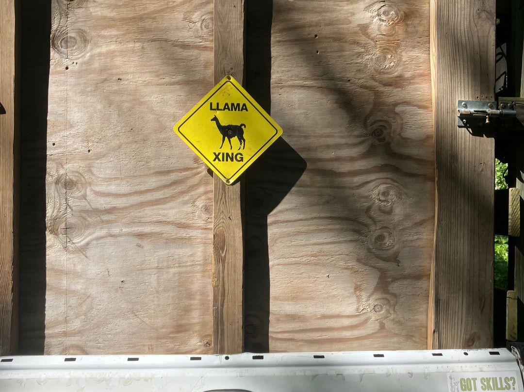 Llamas Of Hot Springs-Hot Springs必去景点