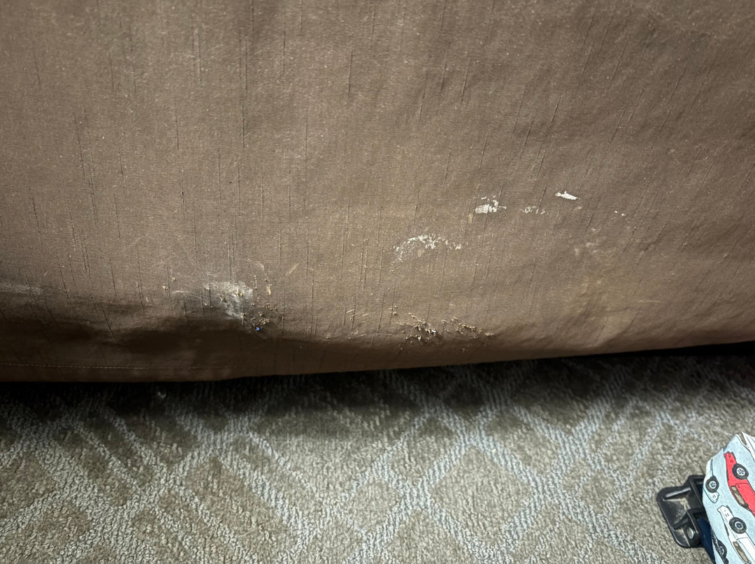 Comfort Inn Splash Harbor主图