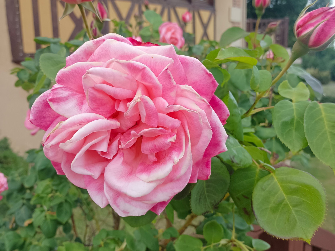 Hôtel Le Romantica主图