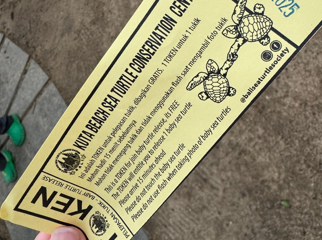 巴厘岛海龟协会-库塔必去景点