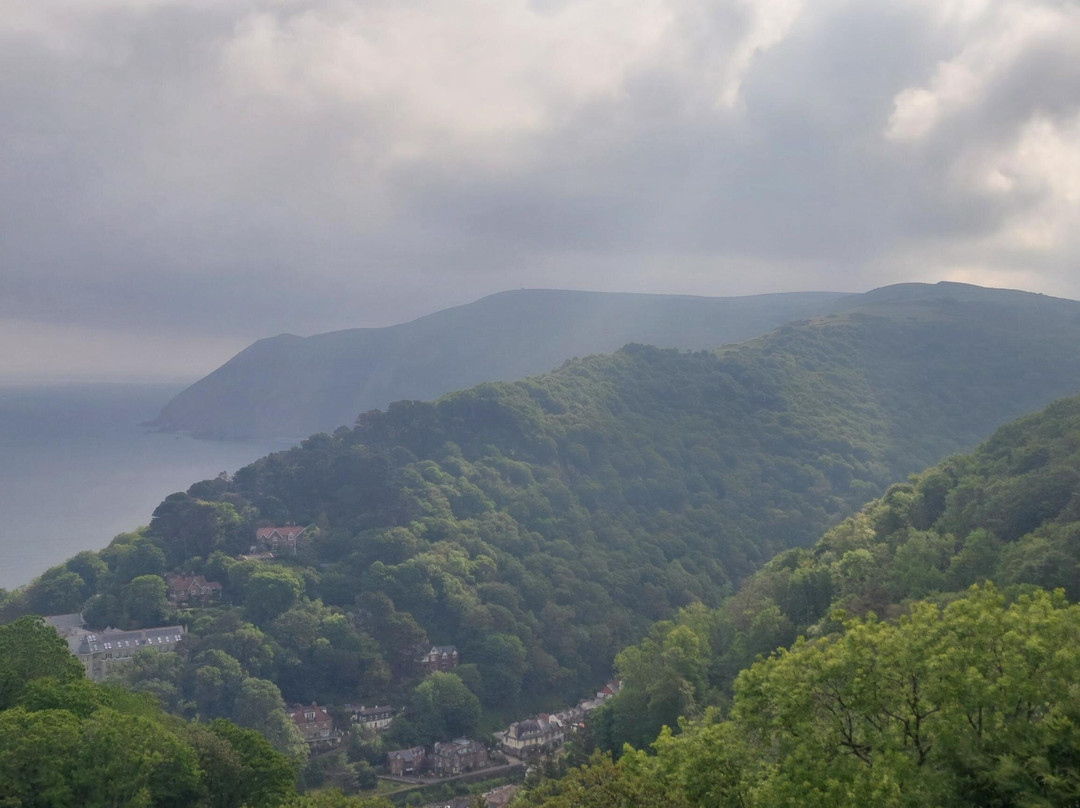 Highcliffe House主图