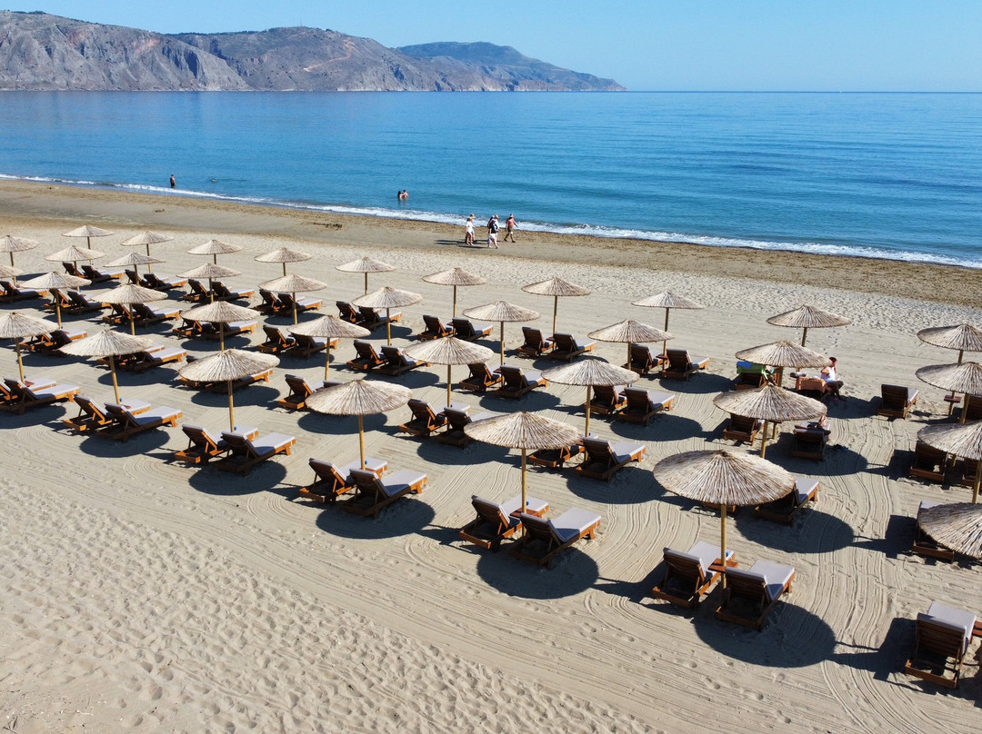 Delfina Boutique Hotel主图