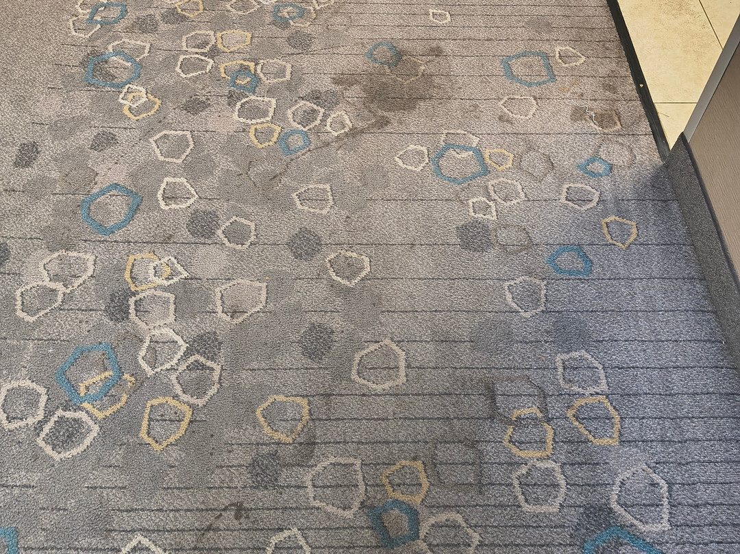 Sonesta Select Atlanta Norcross I-85主图