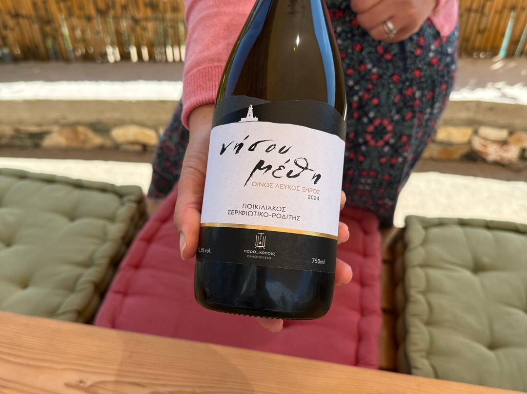 Para Kopois Winery景点图片