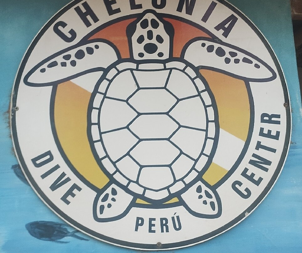 Chelonia Dive Center-Organos必去景点