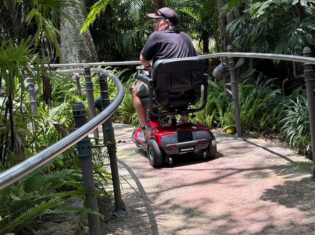 ScooterBug Rentals-奥兰多必去景点