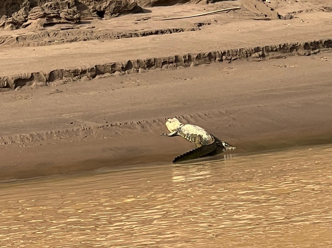 JunglePro-马尔多纳多港必去景点