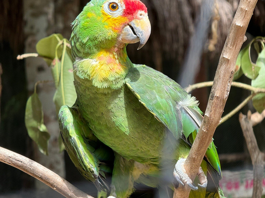 Scubaquatic-艾库玛尔必去景点