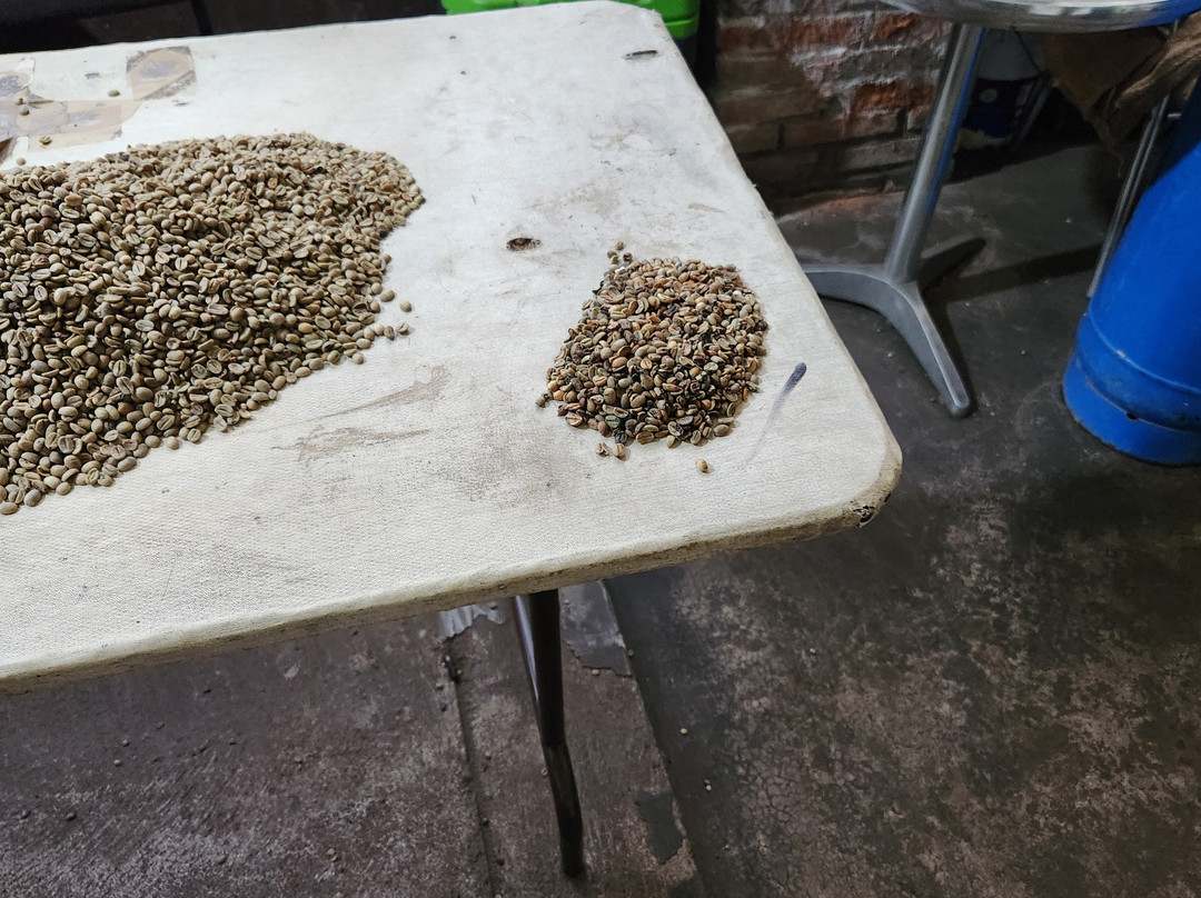 Plaza Principal de Comala-Comala必去景点