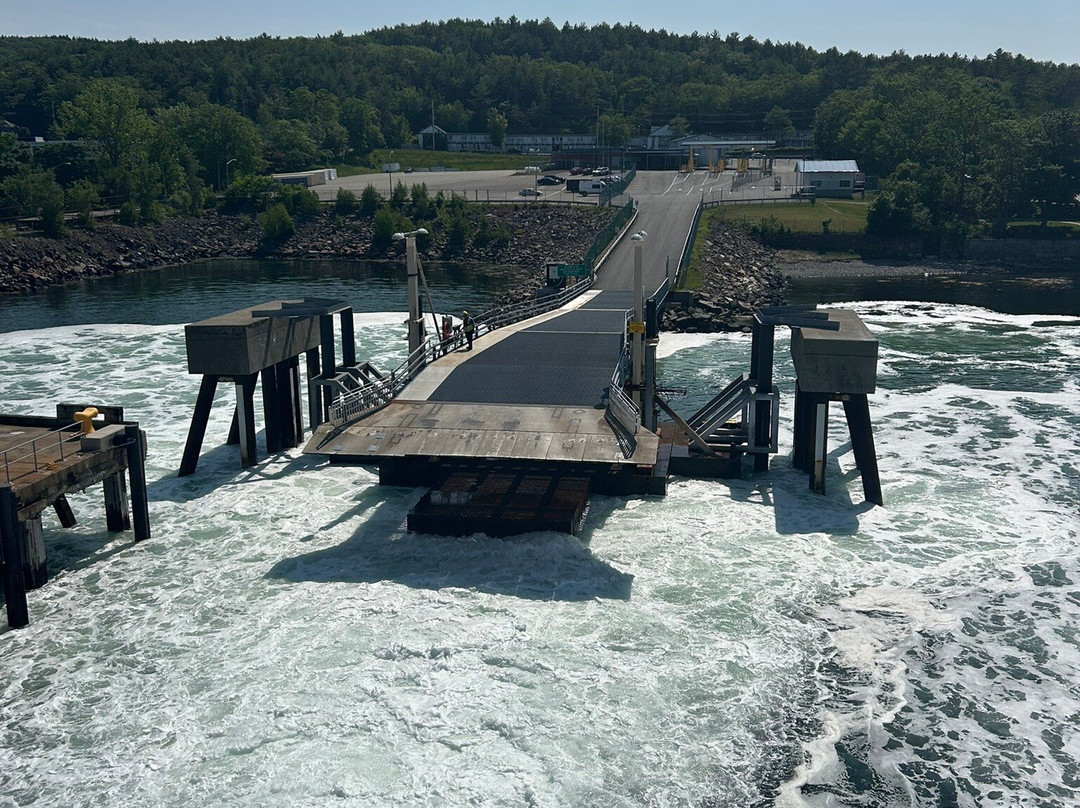 The CAT Ferry-巴港必去景点