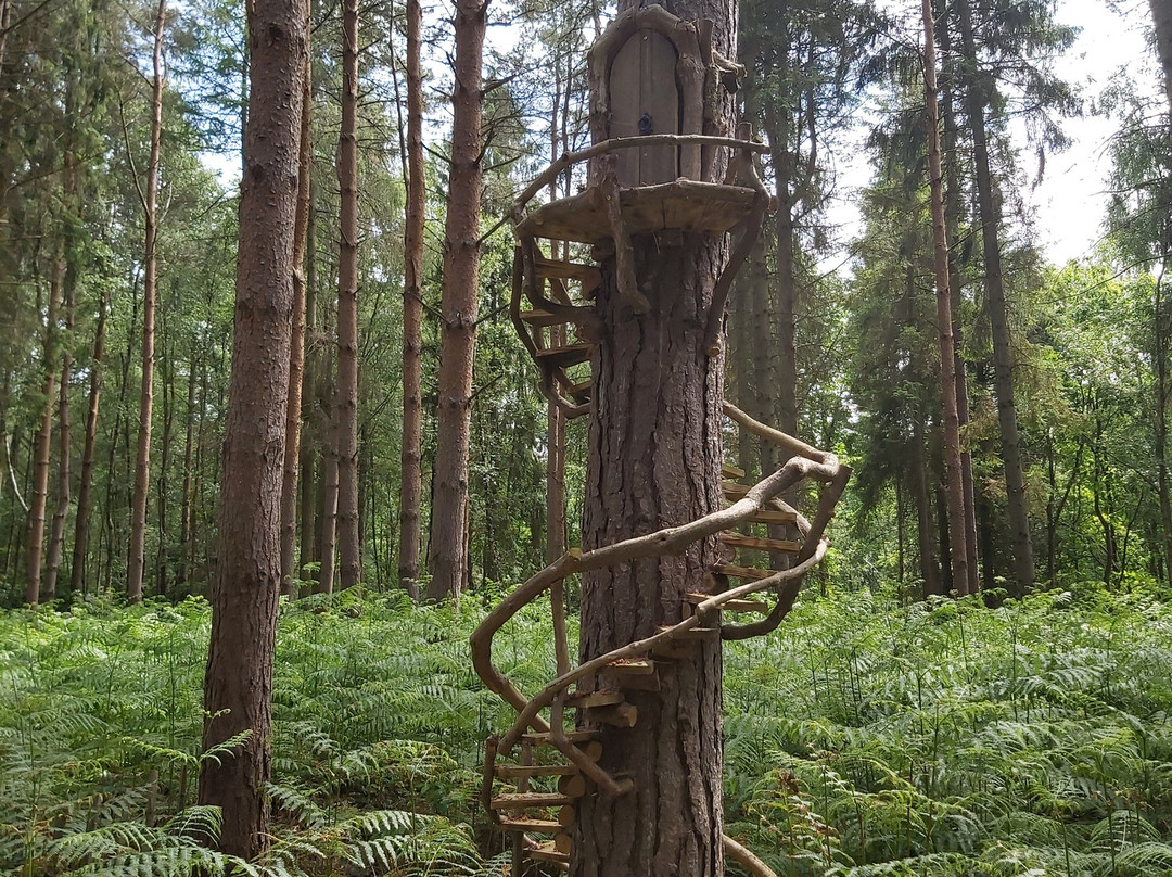 Northwood Trail – England’s Fairy Sanctuary景点图片