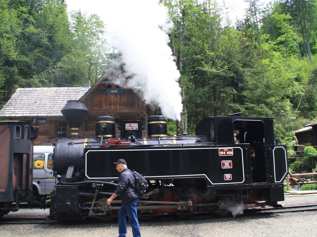 Vaser Valley Forestry Railway - Day Tours-Viseu de Sus必去景点