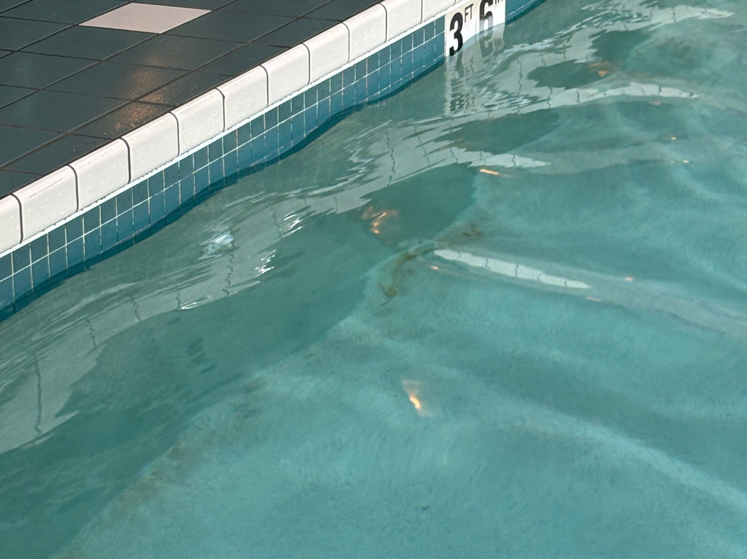 Sunset Bay Resort & Suites主图