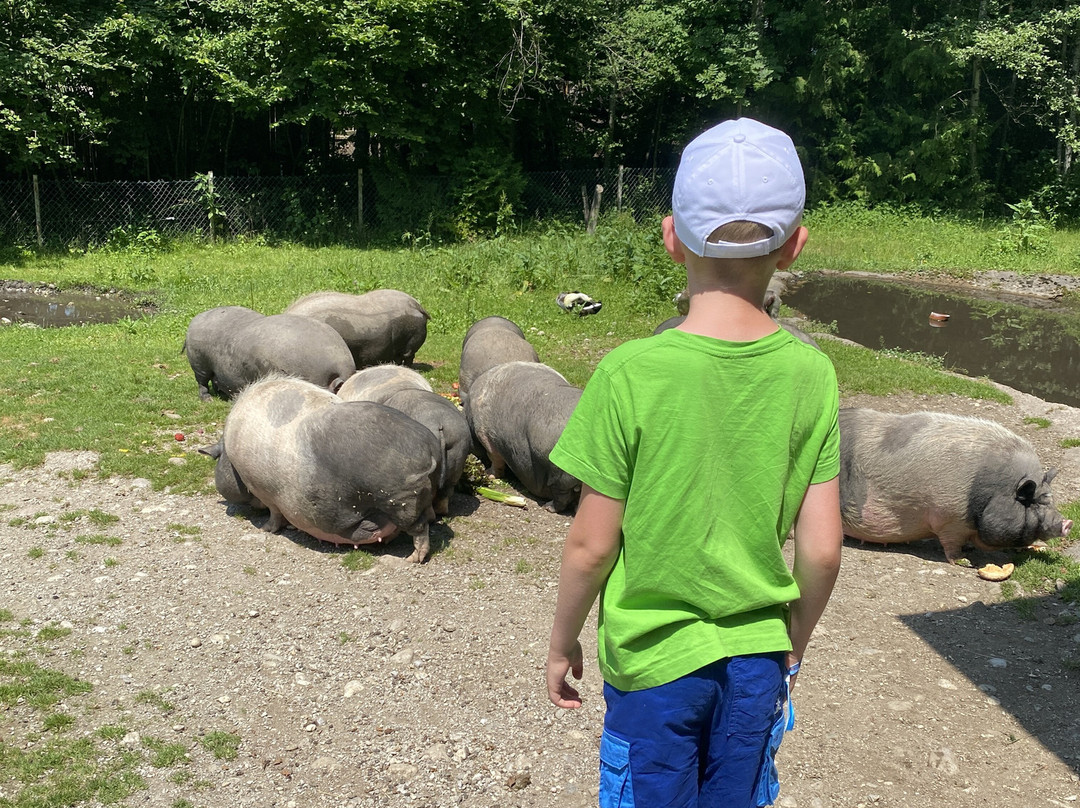 Raritätenzoo Ebbs-埃布斯必去景点