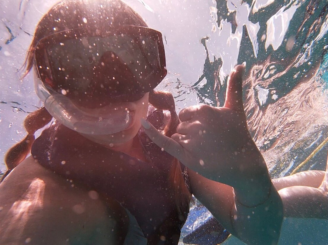 Bimini Blue Adventures-Bailey Town必去景点