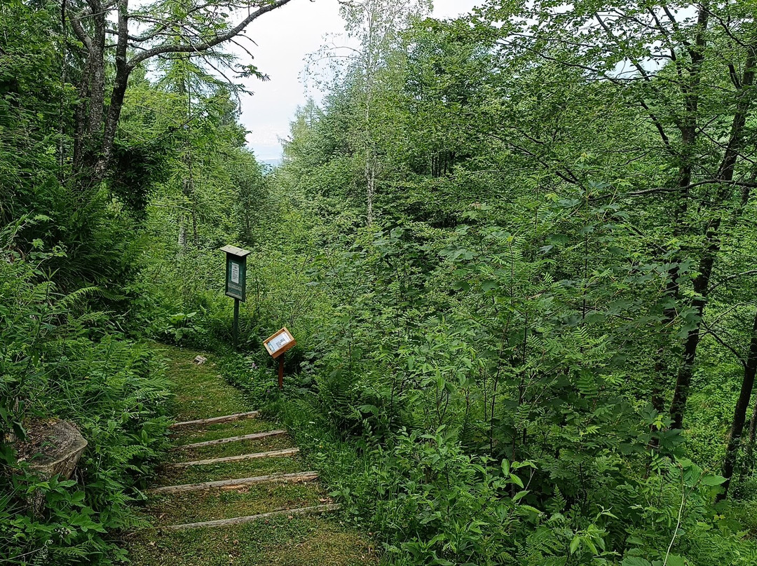 Giardino Botanico delle Alpi Orientali-Nevegal必去景点