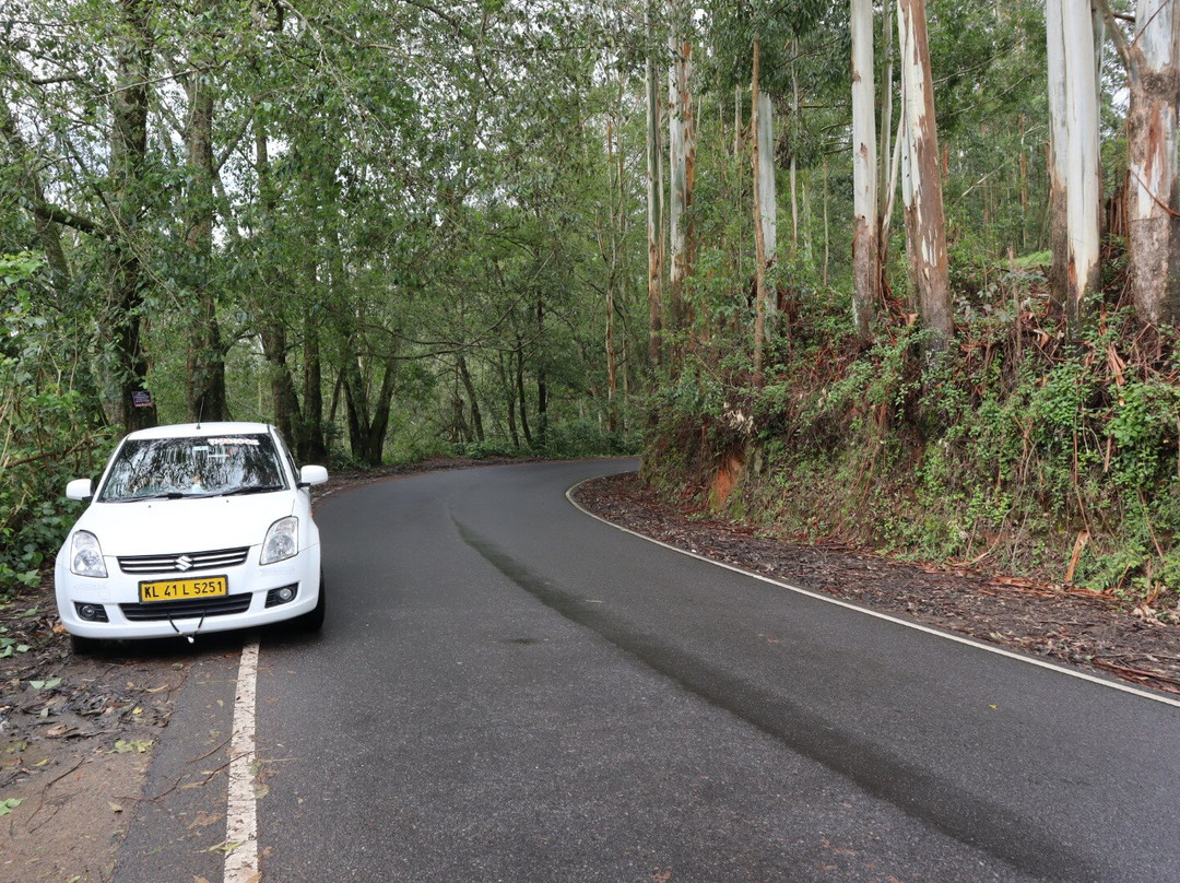 Keralacochinmunnartaxi Rentals-Kalady必去景点
