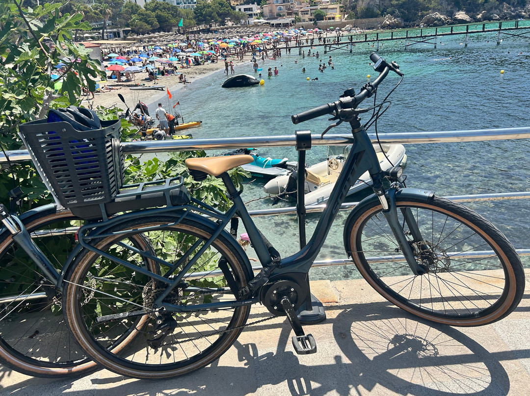 Pepe - Rent a Bike-马洛卡帕尔马必去景点