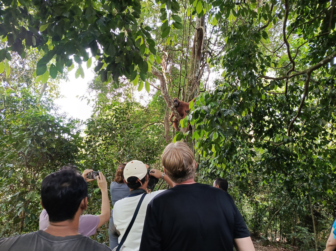 PT Enos Tour Medan-棉兰必去景点