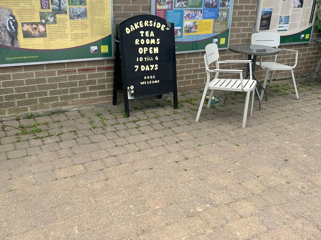 Castle Eden Dene Nnr-Peterlee必去景点