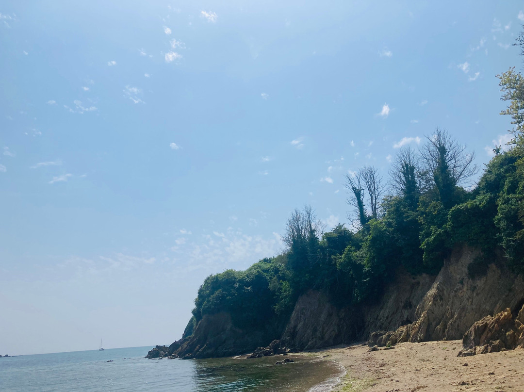 Mothecombe Beach-Modbury必去景点