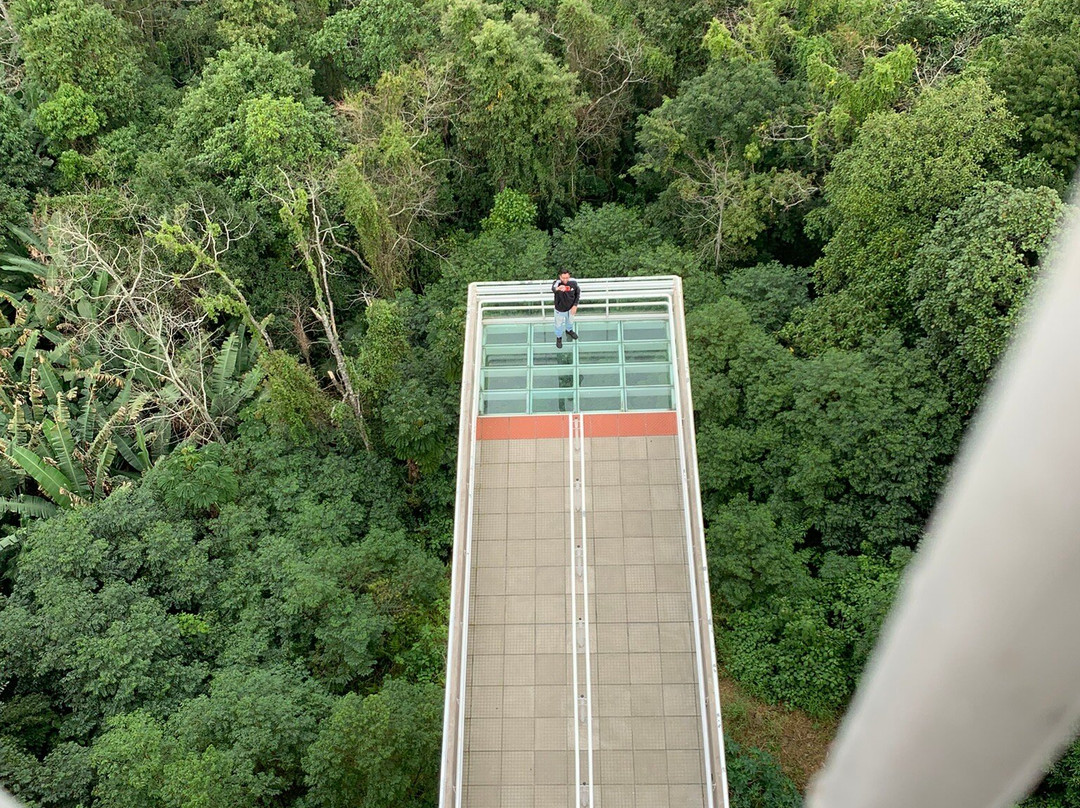 Mirante De Criciúma-Criciuma必去景点