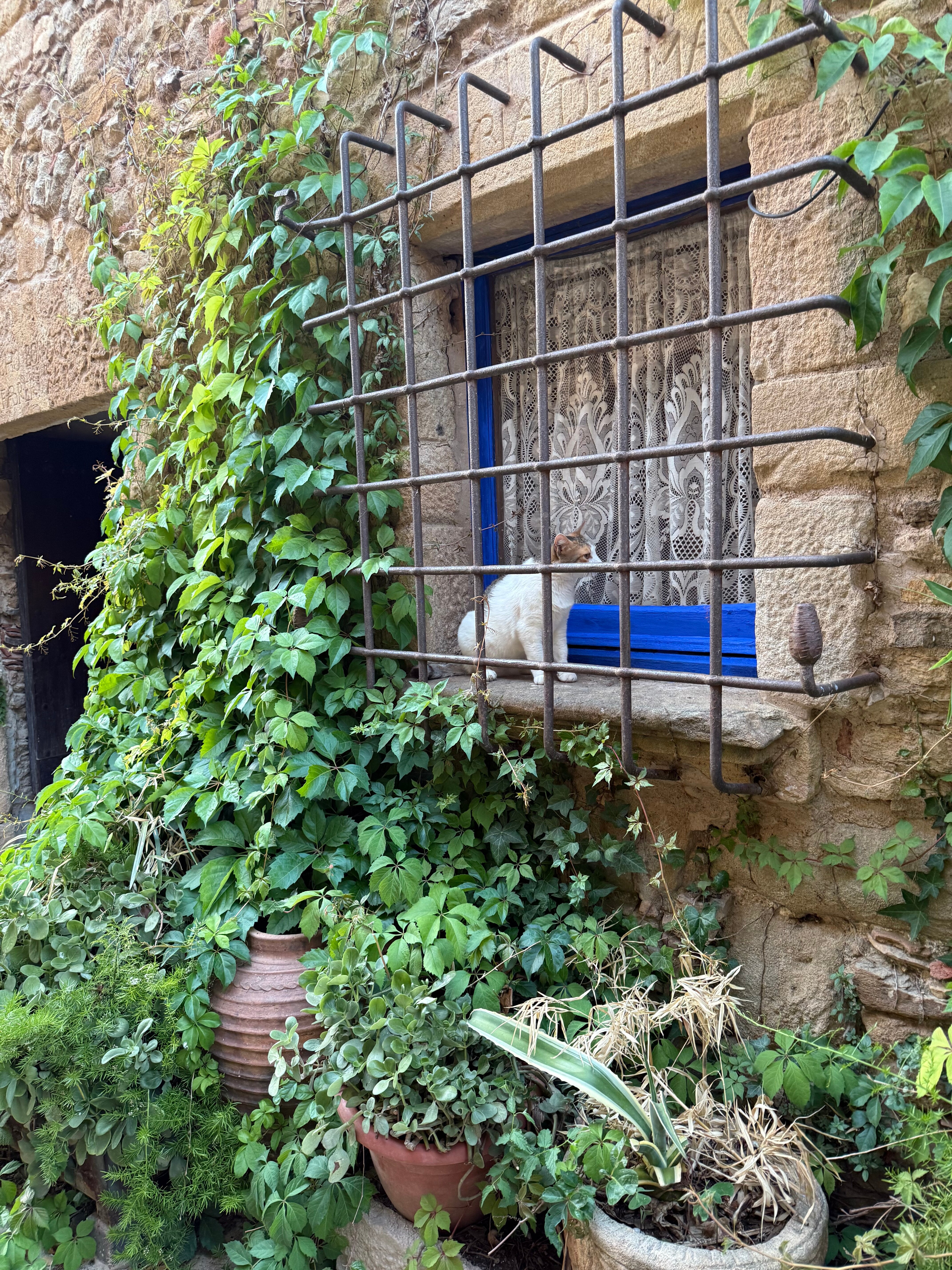 Hostal Blau-官方