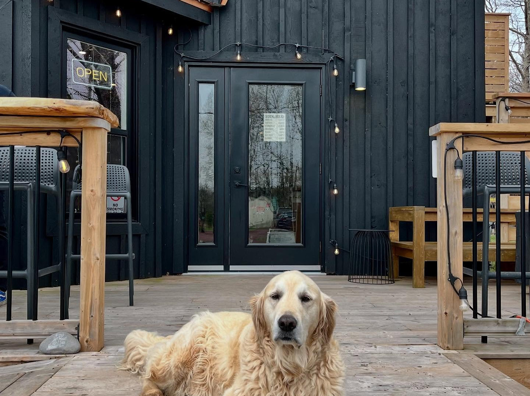 Old Molly's Bar-St. Martins必去景点