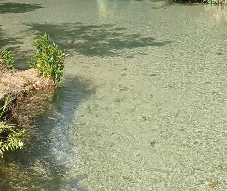 Praia do Puçá-Aurora do Tocantins必去景点
