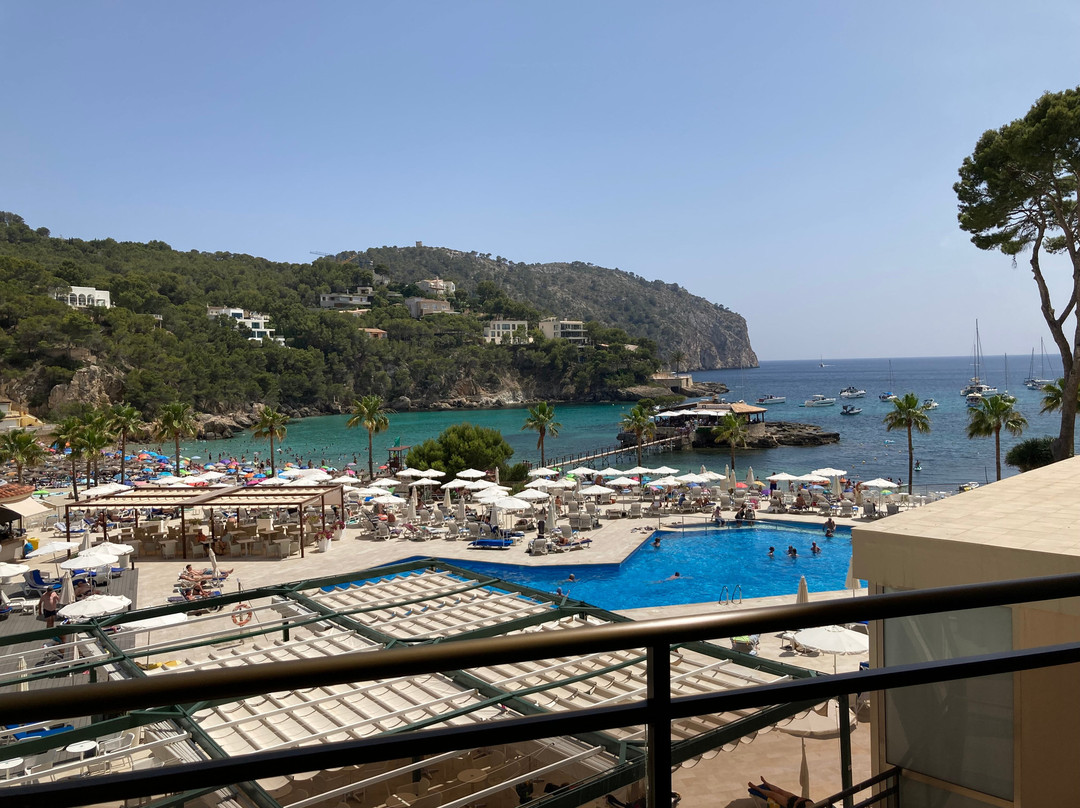 Grupotel Playa Camp de Mar主图