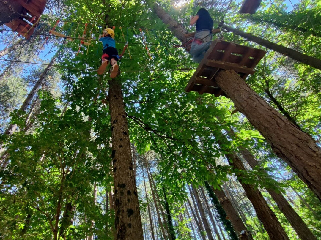 Parco Avventura Montevergine-Ospedaletto d'Alpinolo必去景点