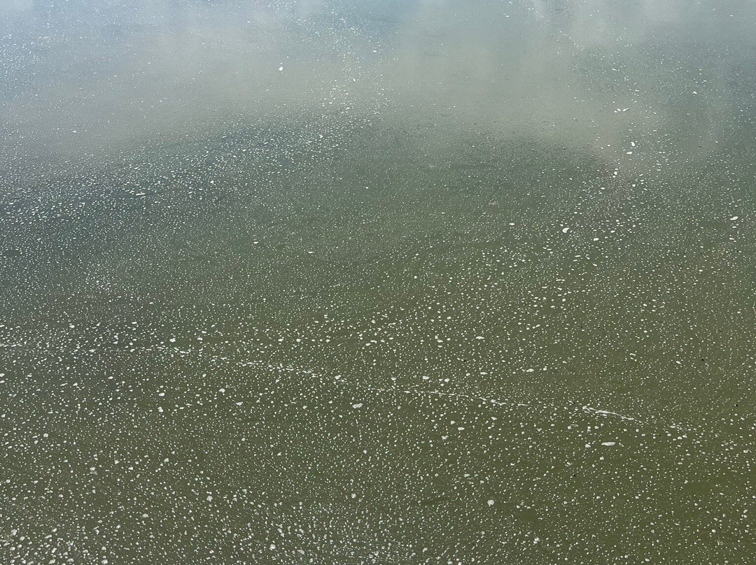Zocco Beach-San Feliciano必去景点