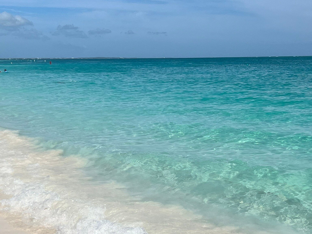 Platinum Express VIP-普罗维登西亚莱斯必去景点